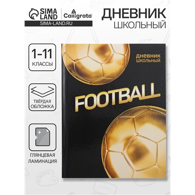 Дневник школьный для 1-11 классов, «Золотой мяч», твёрдая обложка 7БЦ, глянцевая ламинация, 40 листов