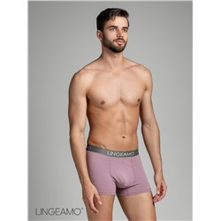 Трусы мужские боксеры Lingeamo ЛБ-01 (21)