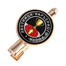 HZF-0056 Заколка Талисман карьерного роста