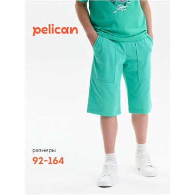 Шорты для мальчика
