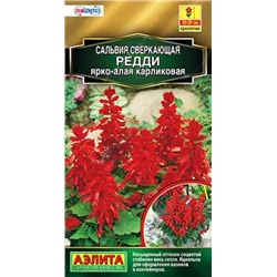 Семена Сальвия карликовая Редди ярко-алая, арт.: 10909