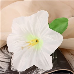 Цветы искусственные «Гиппеаструм», h=23 см, d=12 см, белые