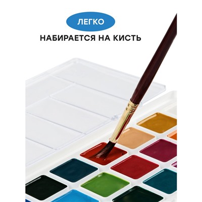 Акварель Гамма "Классическая", медовая, 24 цвета, без кисти, пластик. упак., европодвес NEW
