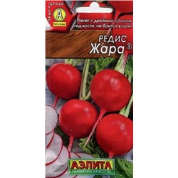 Редис Жара Аэлита