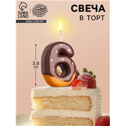 Свеча в торт «Шоколадная глазурь», цифра 6,3.8 см