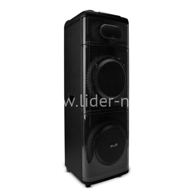 Колонка 12" (20-21 DIAMOND BOX 2500)  динамик 2шт/12" ElTRONIC с TWS