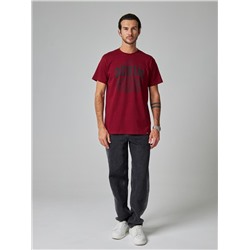 Футболка мужская арт. 02285/Denim