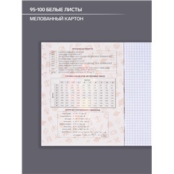 Тетрадь предметная 48 листов в клетку Calligrata, «Неоновые звери. Алгебра» обложка мелованный картон, печать неон, офсет