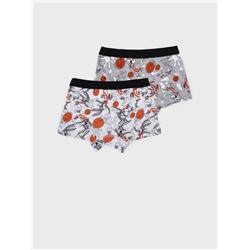 Трусы-боксеры для мальчика, 2 шт в комплекте