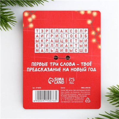 Значок новогодний «радуйте близких» 4×1.5 см