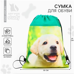 Мешок для обуви «Милый щенок» нетканое полотно, размер 41×30 см