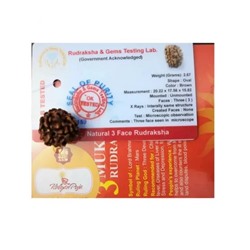 Рудракша сертифицированная (3 мукхи), 3 Mukhi Certified Rudraksha, произв. Kalyan Puja