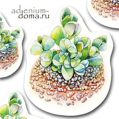 Открытка Lapidaria MARGARETAE (Лапидария)
