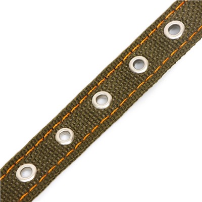 Ошейник брезентовый двухслойный, 50×2 см, ОШ 25-35 см, хаки