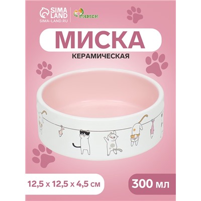 Миска керамическая "Весёлые котики",12,5 x 4,5 cм, 300 мл, белая/розовая