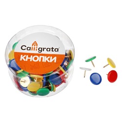 Кнопки канцелярские Calligrata,10 мм, с цветной головкой, в пластиковой баночке, 100 штук