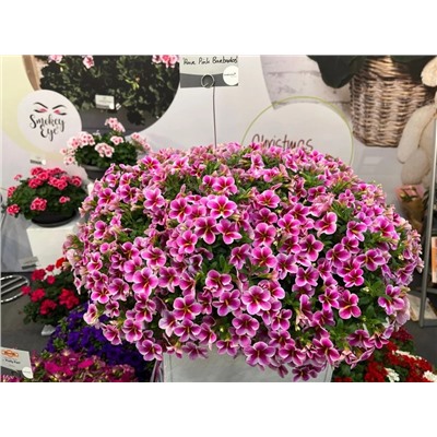 Набор калибрахоа №1