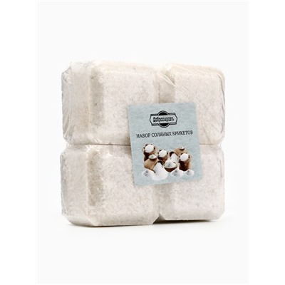 Соляной брикет набор 4 шт по 200 г