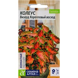 Семена Колеус Визард Коралловый Восход, арт.: 13669