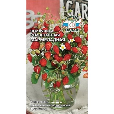 Земляника Мармеладная