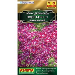 1631 Флокс друммонда Попстарс F1 малиновый 5шт