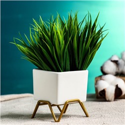 Горшок для цветов «Куб», 100 мл, 5.4×5.1×3.7 см, керамический, на золотистой металлической подставке, белый