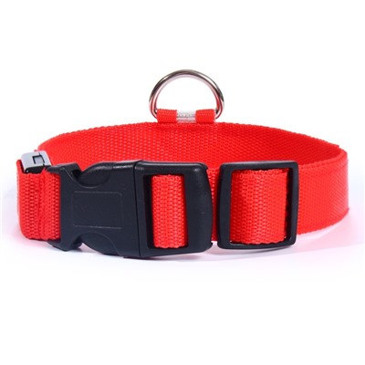 Ошейник с подсветкой размер XL, ОШ 52-60×2.5 см, 3 режима свечения красный