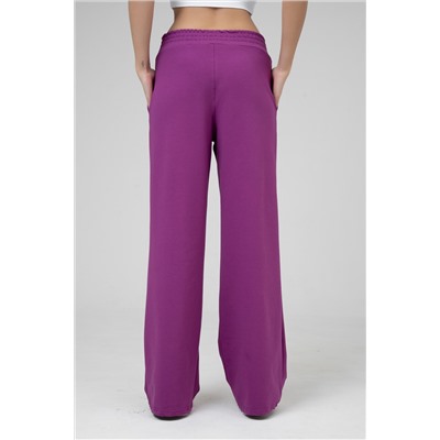 Брюки женские 25-481L3-44 яр.сливовый