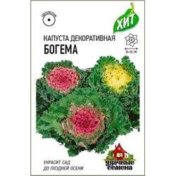 Капуста декоративная Богема, арт.: 11887
