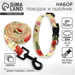 Поводок 2 м и ошейник 28-46 см «Цветы», застёжка - фастекс