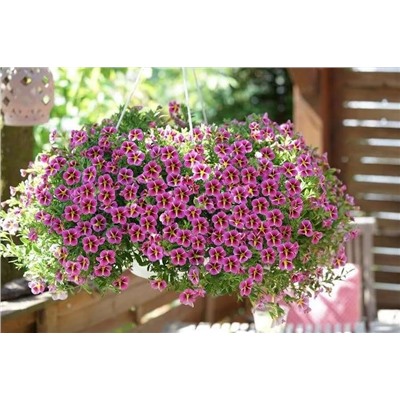 Набор калибрахоа №1