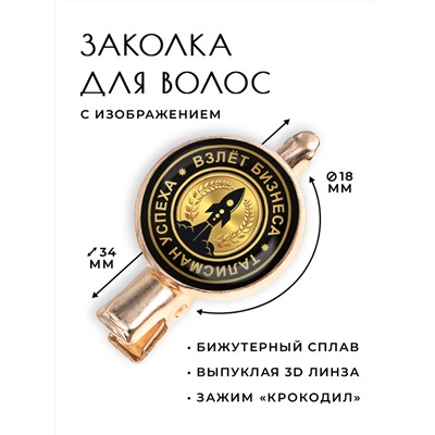 HZF-0041 Заколка Взлёт бизнеса