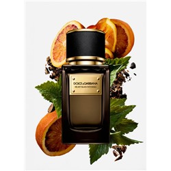 Dolce & Gabbana Velvet Blue Patchouli edp unisex 50 ml