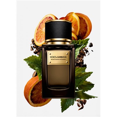 Dolce & Gabbana Velvet Blue Patchouli edp unisex 50 ml
