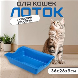 Туалет глубокий без сетки 36×26×9 см, синий микс