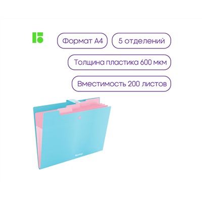 Папка 5 отделений Berlingo "Haze", А4, 600мкм, на кнопке, голубая, софт-тач