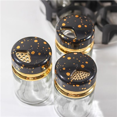 Набор баночек для специй Magistro «Чёрный мрамор», на подставке, 6 шт., стекло, чёрный