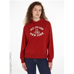 Kapuzensweatshirt Mdrn Reg Vars