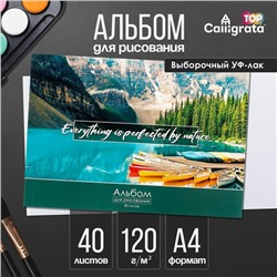 Альбом для рисования А4, 40 листов на склейке «Природа», обложка мелованный картон, выборочный УФ-лак, блок офсет 120 г/м²