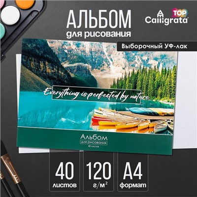 Альбом для рисования А4, 40 листов на склейке «Природа», обложка мелованный картон, выборочный УФ-лак, блок офсет 120 г/м²
