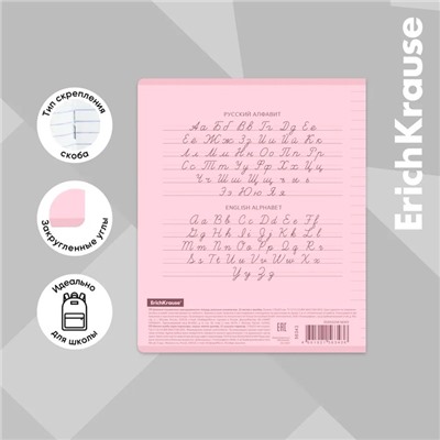 Тетрадь 12 листов в линейку CoverPrо Pastel», пластиковая обложка, блок офсет, белизна 100%, розовая
