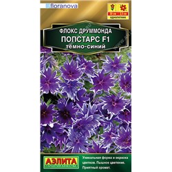 1633 Флокс друммонда Попстарс F1 темно-синий 5шт