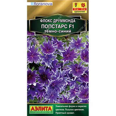 1633 Флокс друммонда Попстарс F1 темно-синий 5шт