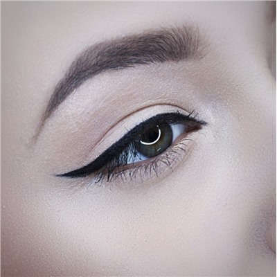 BrowGel  Гель для бровей т.17 (в кейсе)