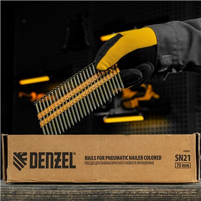 Гвозди для пнев. нейлера (крашен.) длина - 75 мм, диам. - 3,05 мм, 2000 шт. Denzel