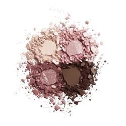 RELOUIS Y.O.U. Палетка теней для век Really Brilly тон:01 Rose Quartz