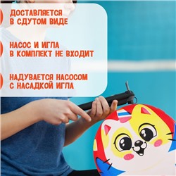 Мяч детский «Котик», 22 см, 60 г, цвета МИКС