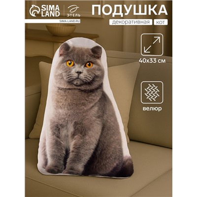 Подушка декоративная Этель «Кот» 33х40 см, велюр, 100% п/э