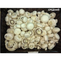 Шампиньон калибр 4-6см (3 кг)