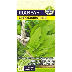 Щавель Широколистный, арт.: 13571